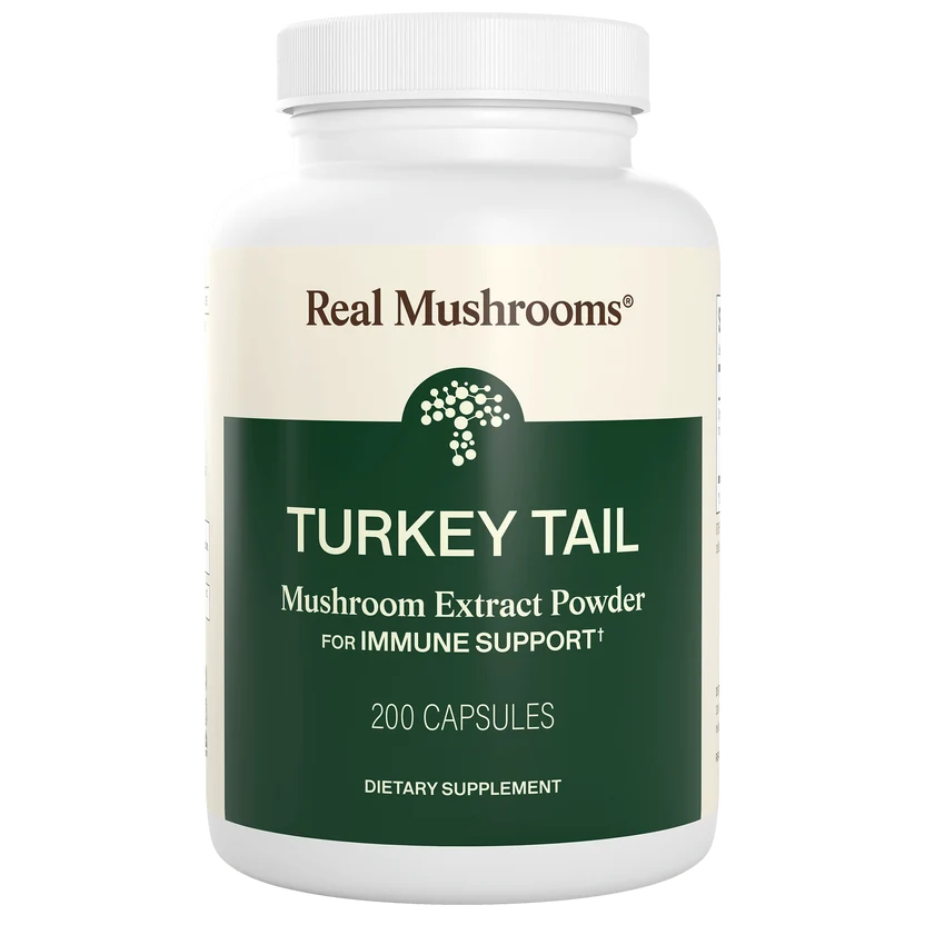 Turkey Tail Mushroom Capsules Sell on Medicinal and Functional Mushroom Factory Shop