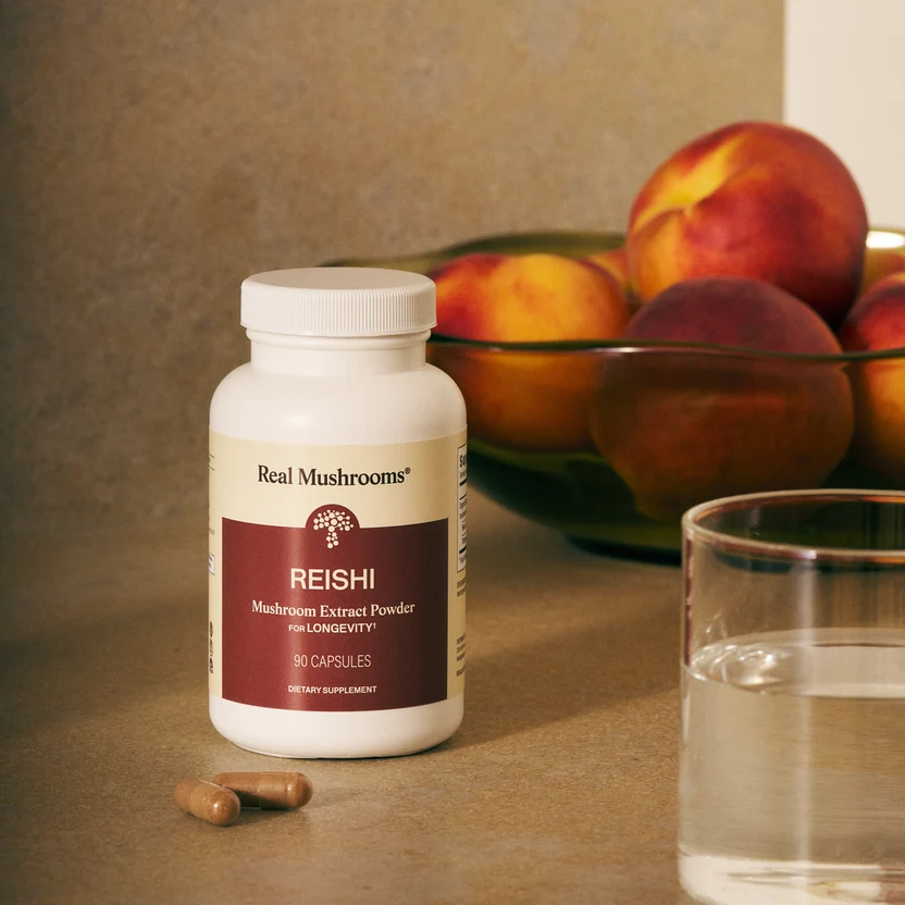 Organic Reishi Mushroom Capsules Sell on Medicinal and Functional Mushroom Factory Shop