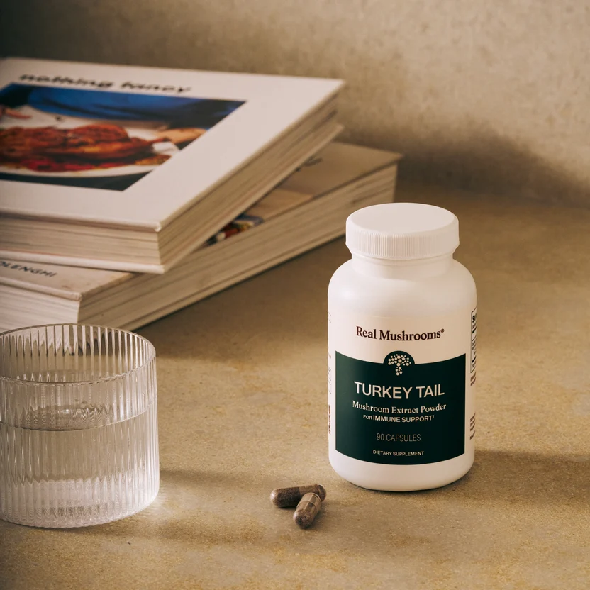 Turkey Tail Mushroom Capsules Sell on Medicinal and Functional Mushroom Factory Shop