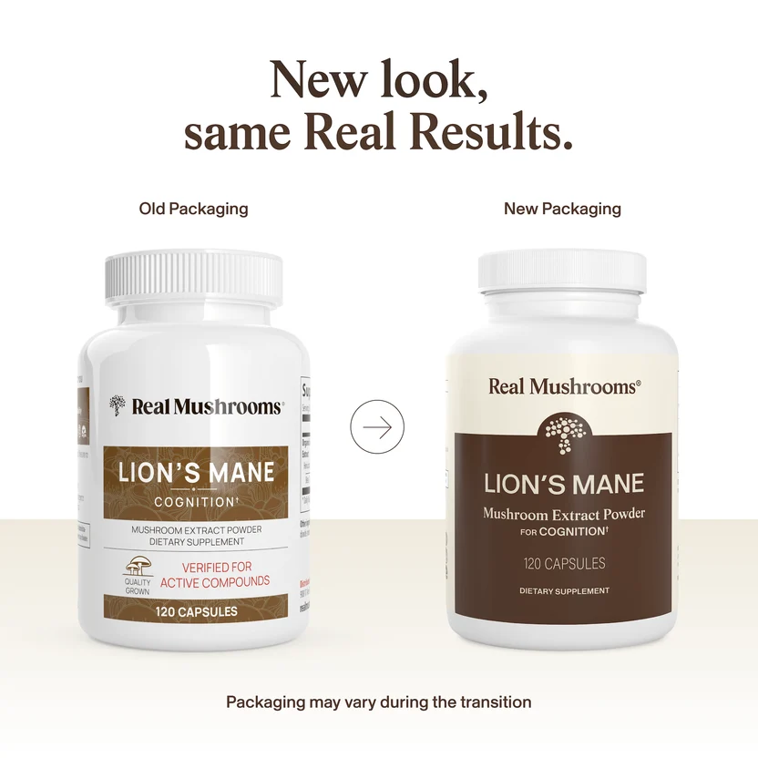 Organic Lion's Mane Extract Capsules Sell on Medicinal and Functional Mushroom Factory Shop
