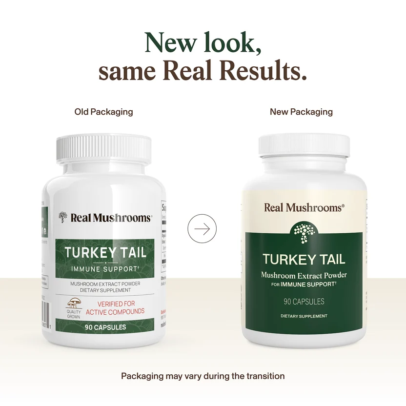 Turkey Tail Mushroom Capsules Sell on Medicinal and Functional Mushroom Factory Shop