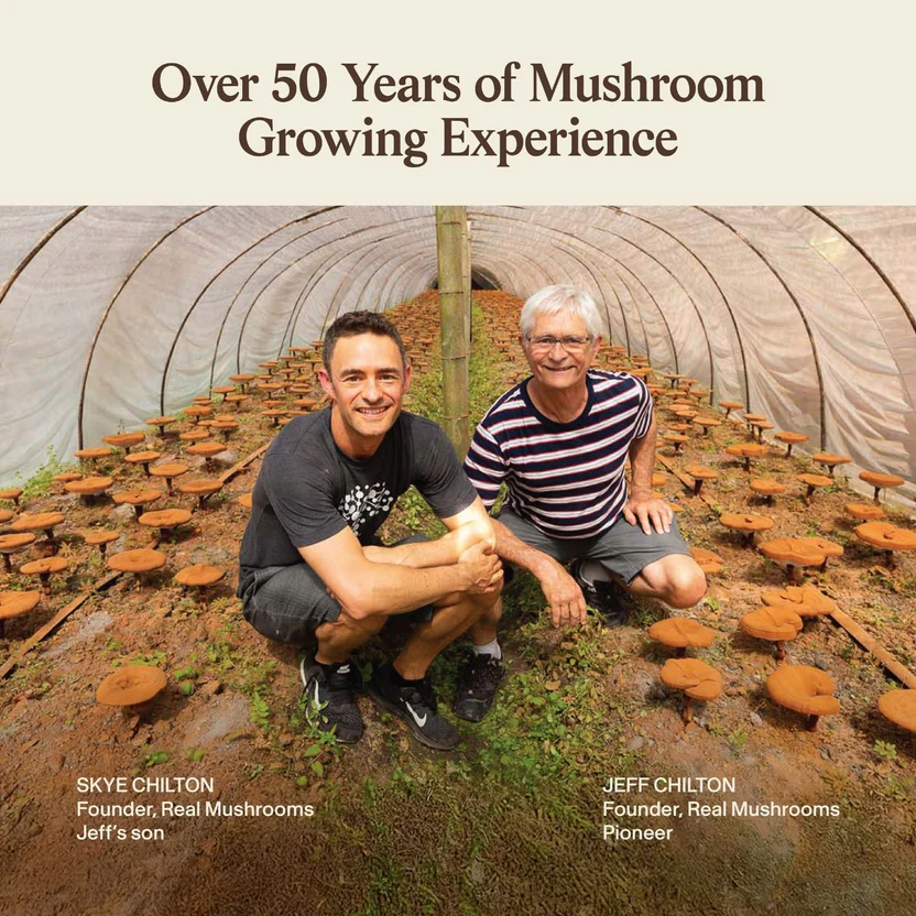 5 Defenders Organic Mushroom Blend Capsules Sell On Medicinal and Functional Mushroom Factory Shop