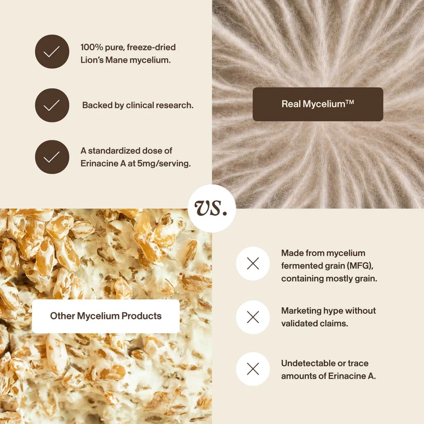 Real Mycelium Sell on Medicinal Functional Mushroom Factory Inc