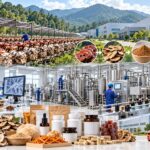 Medicinal and Functional Mushroom Factory Inc